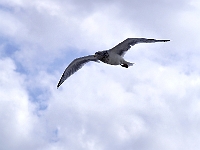 PICT0374 web.jpg